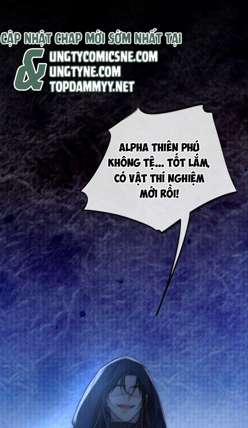 Lồng Tuyết 30 trang 12