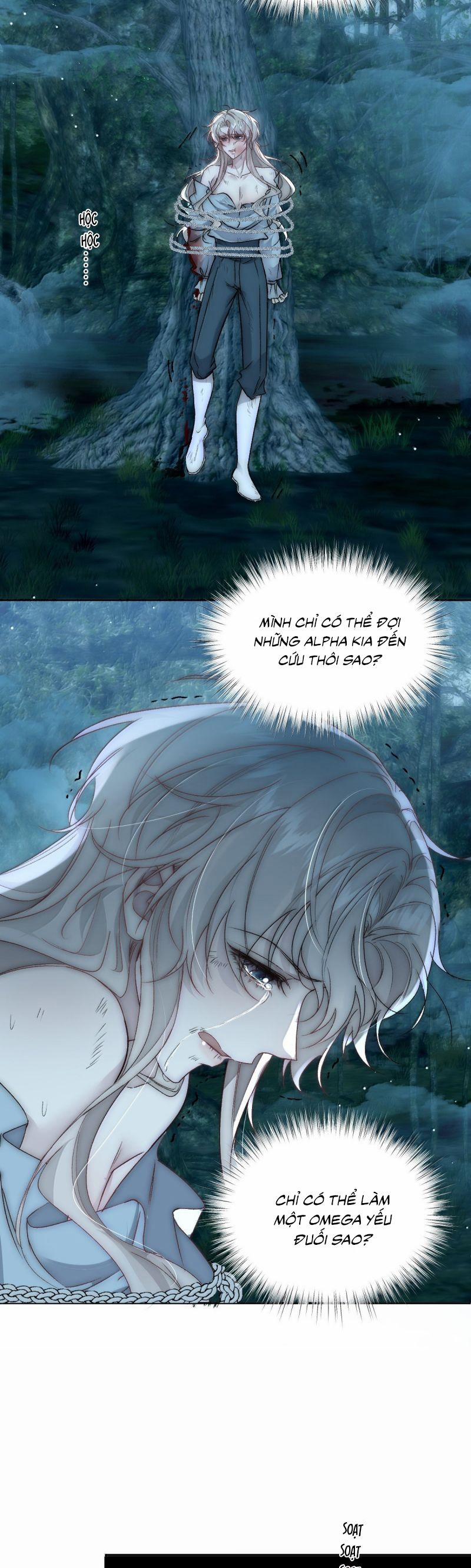 Lồng Tuyết 39 trang 2