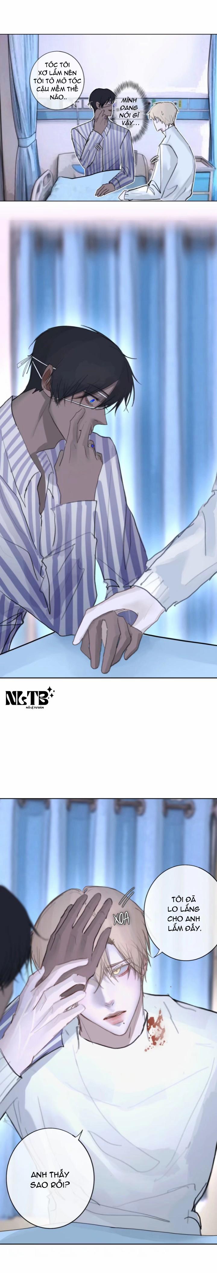 Lồng Vàng 10 trang 3