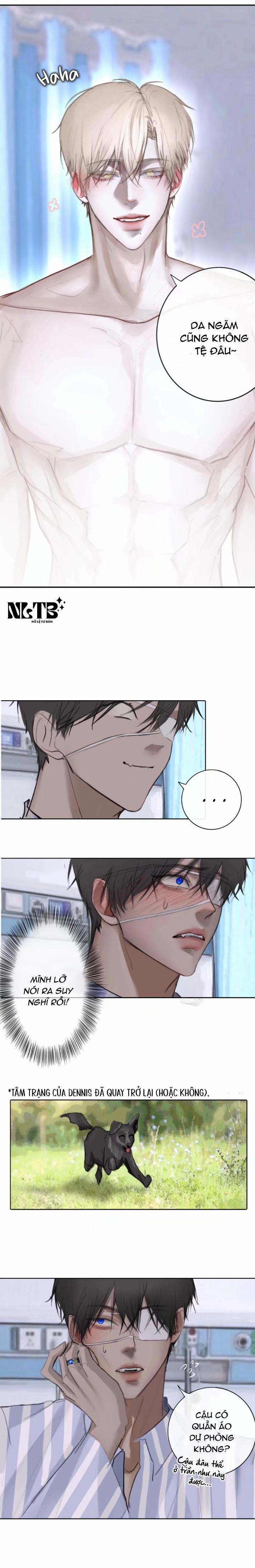 Lồng Vàng 11 trang 4