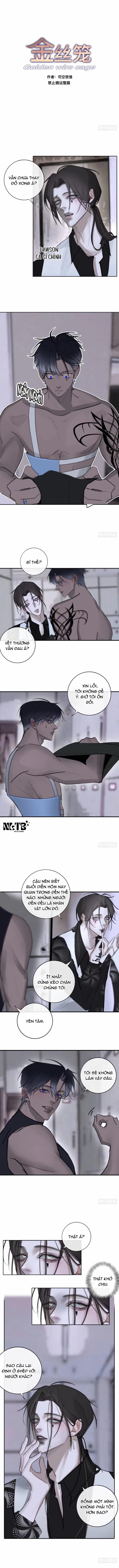 Lồng Vàng 13 trang 1