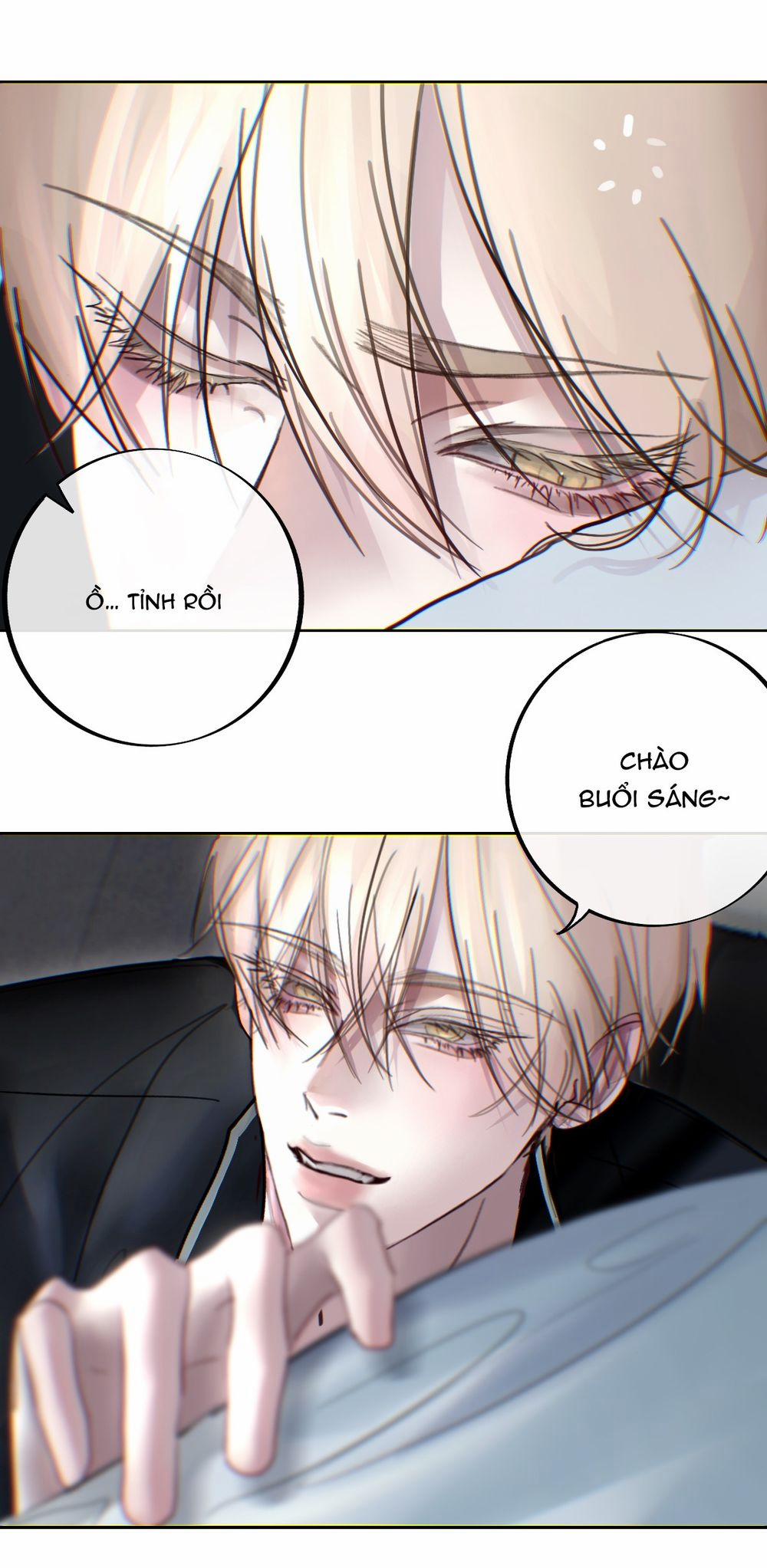 Lồng Vàng 35 trang 13