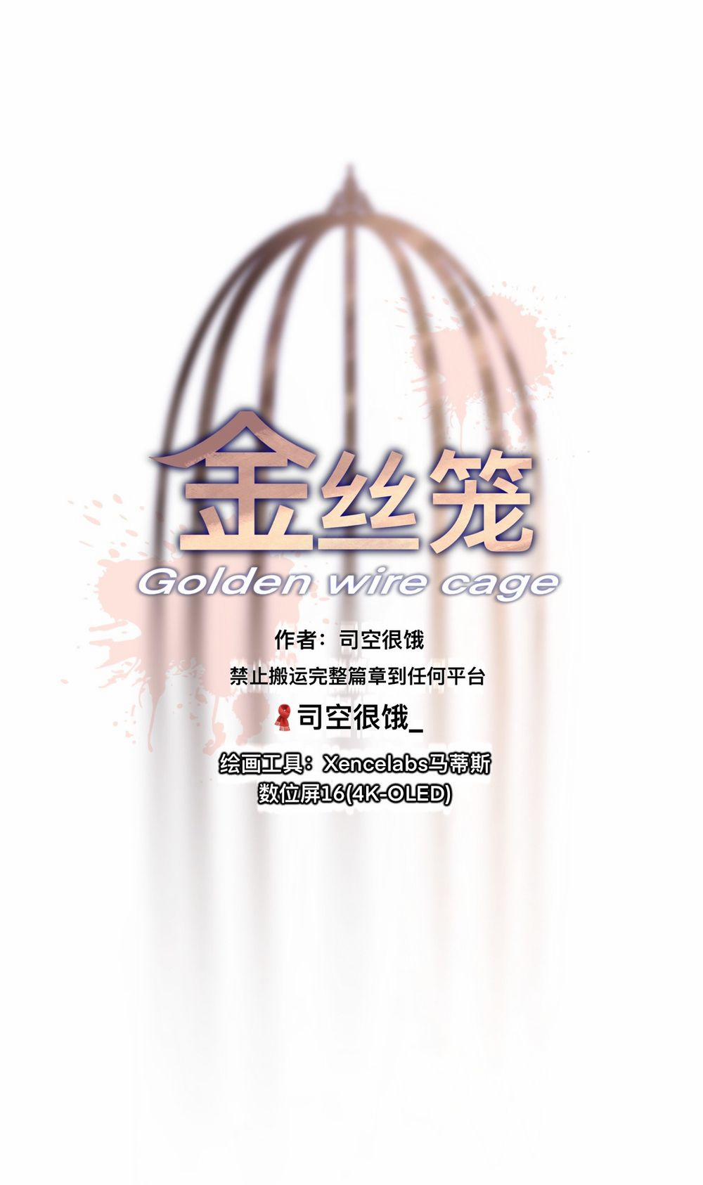 Lồng Vàng 36 trang 0