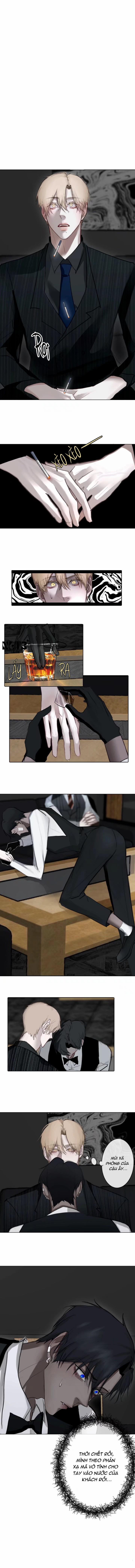 Lồng Vàng 4 trang 1