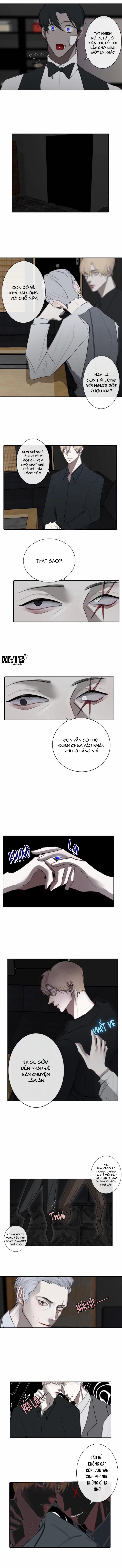 Lồng Vàng 4 trang 4