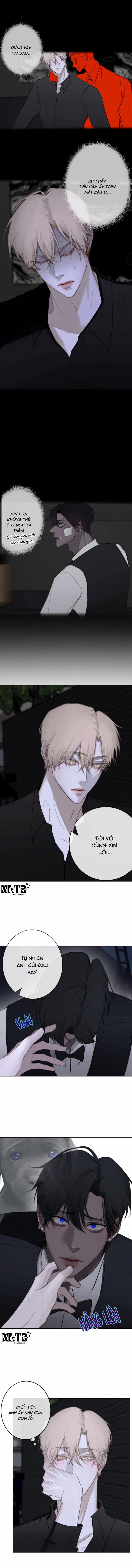 Lồng Vàng 6 trang 2