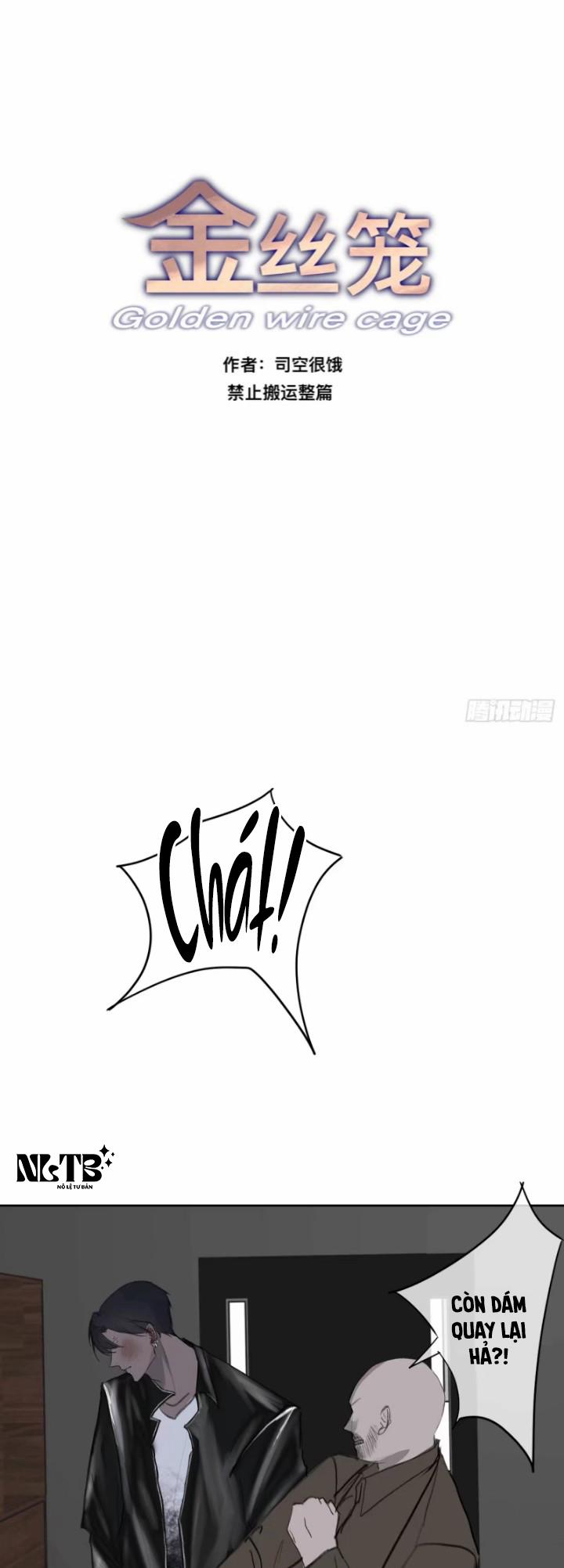 Lồng Vàng 8 trang 1