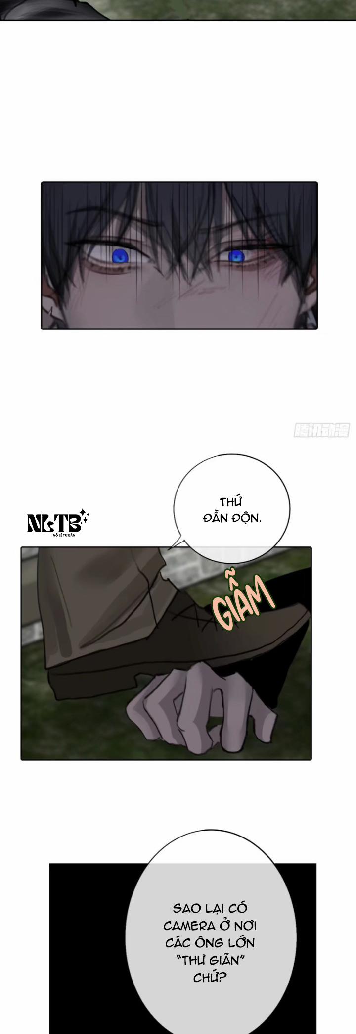 Lồng Vàng 8 trang 9