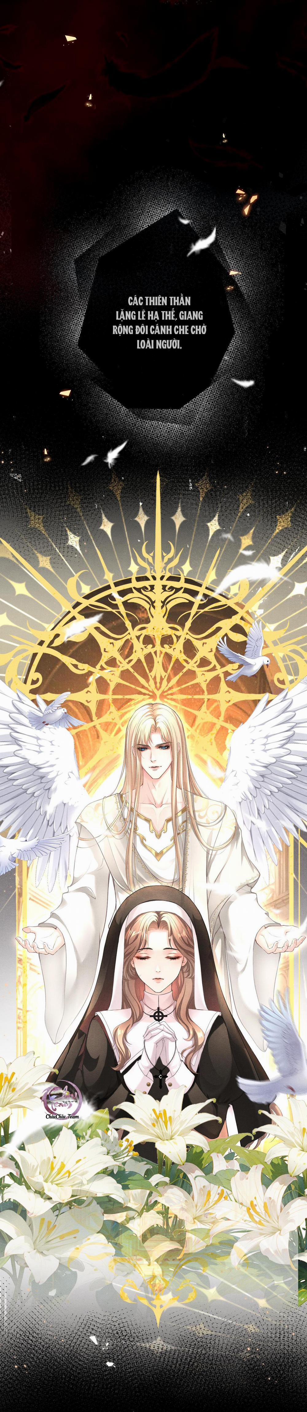 Lông Vũ Ngược Sáng 0 trang 1