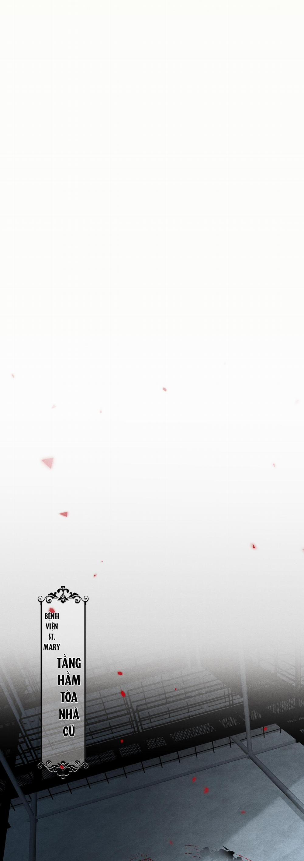 Lông Vũ Ngược Sáng 13 trang 16