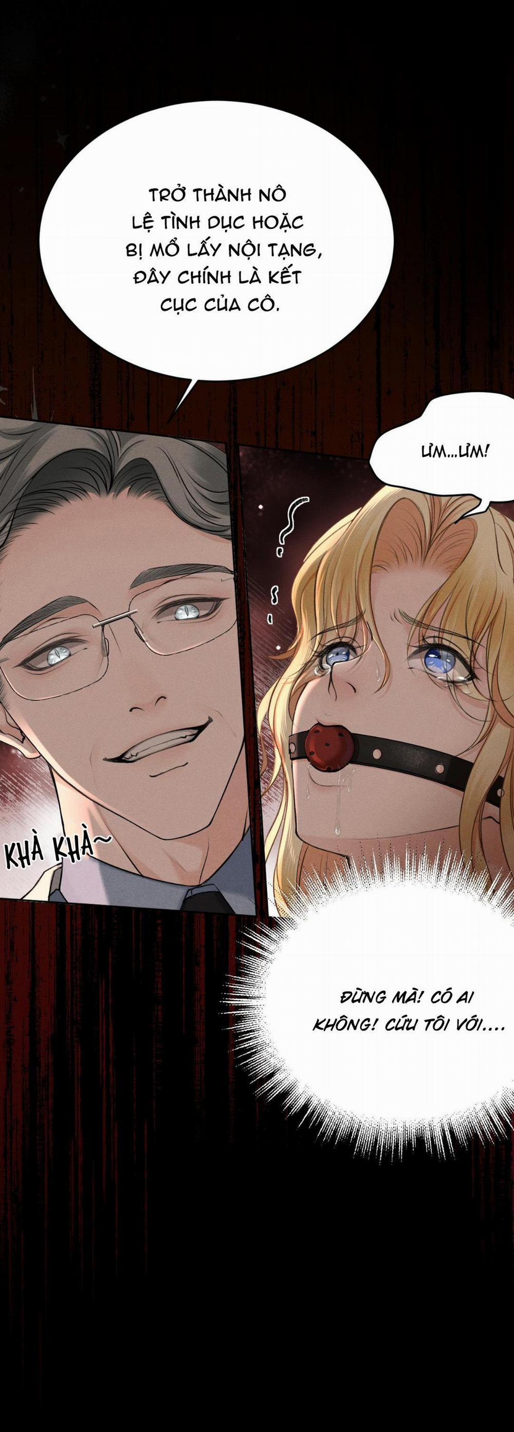 Lông Vũ Ngược Sáng 15 trang 6