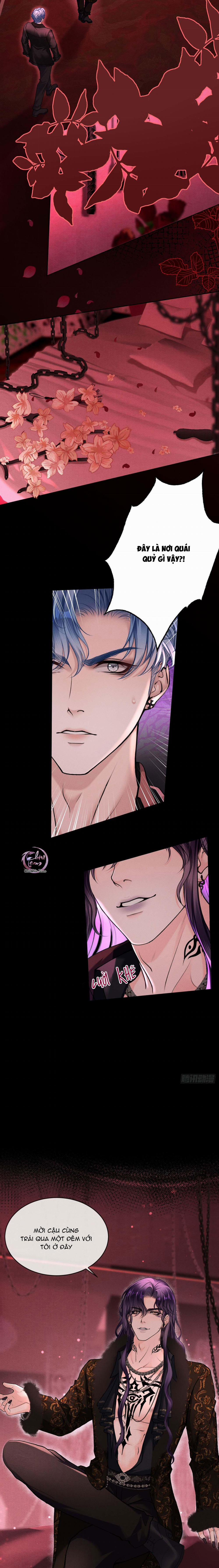 Lông Vũ Ngược Sáng 17 trang 4