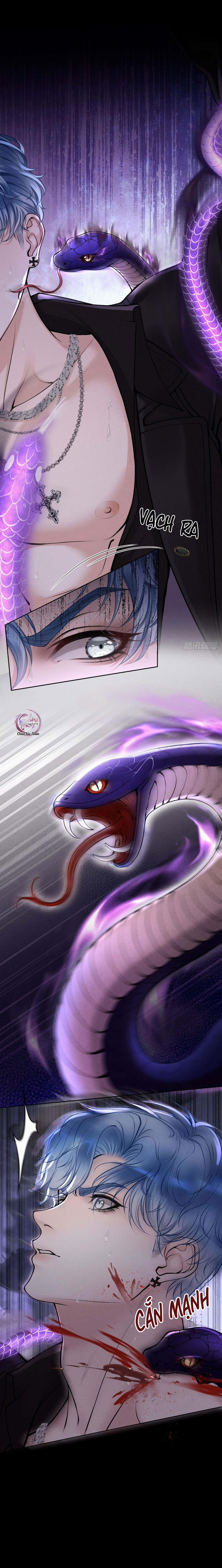 Lông Vũ Ngược Sáng 17 trang 7