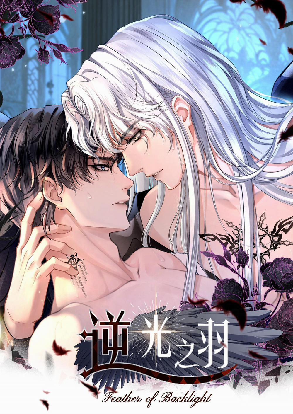 Lông Vũ Ngược Sáng 5 trang 0