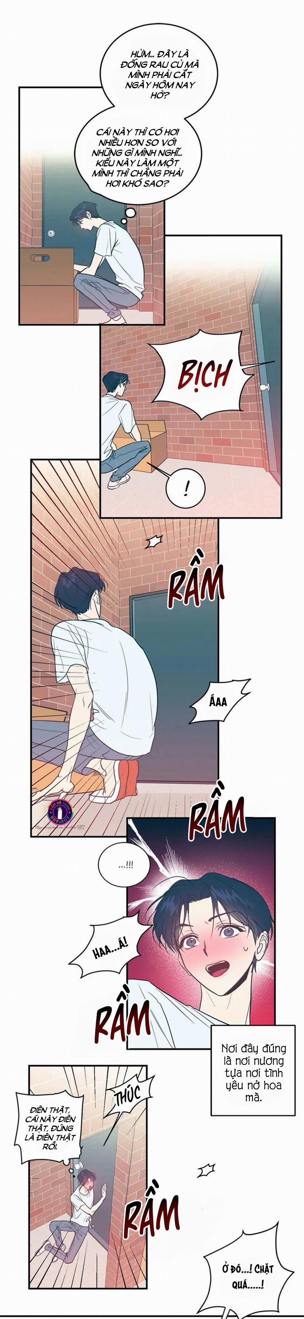 Love in Kitsch (END) 1 trang 17