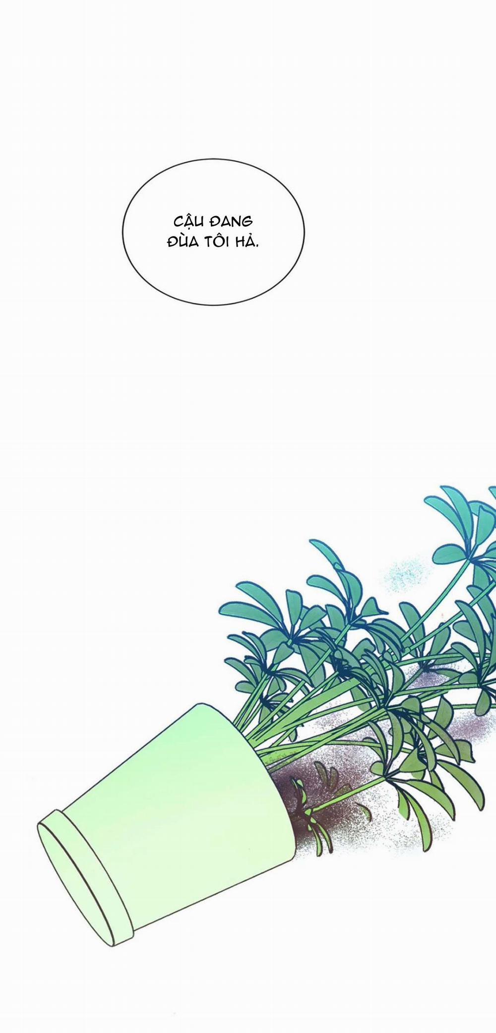 Love in Kitsch (END) 40 trang 1