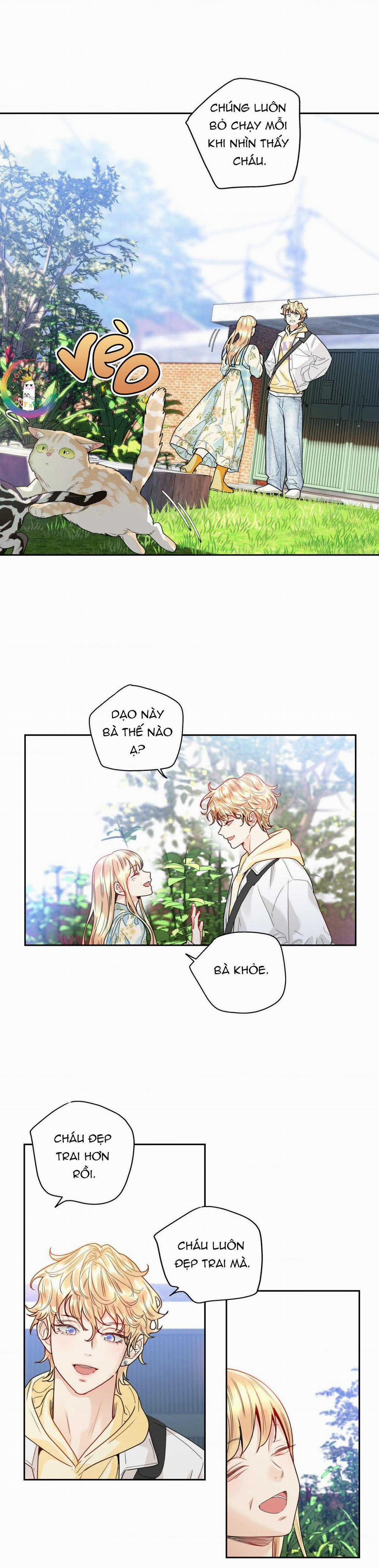 Love Is An Illusion! Superstar 4 trang 13