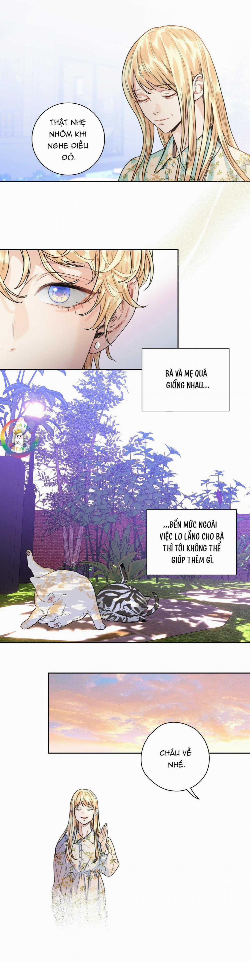 Love Is An Illusion! Superstar 4 trang 18