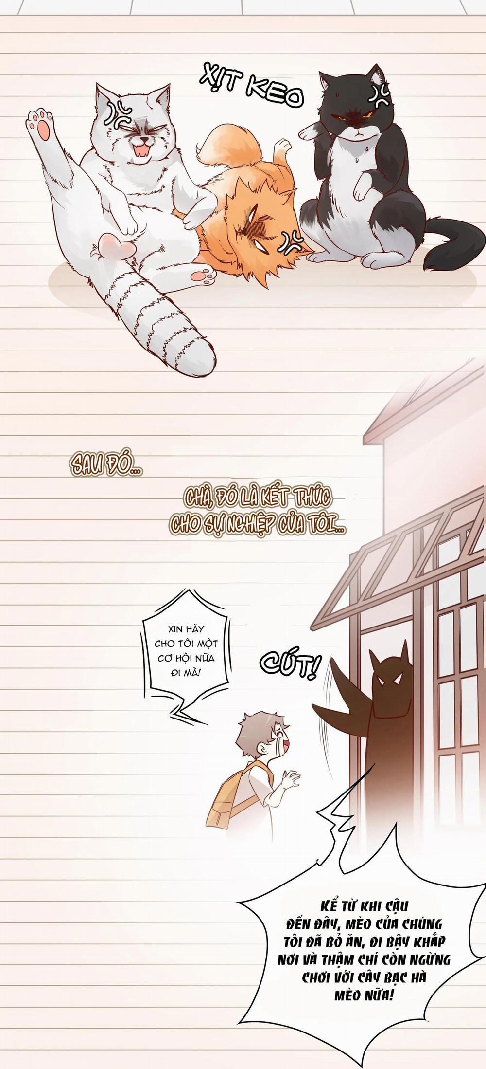 Love Is Love 1 trang 10