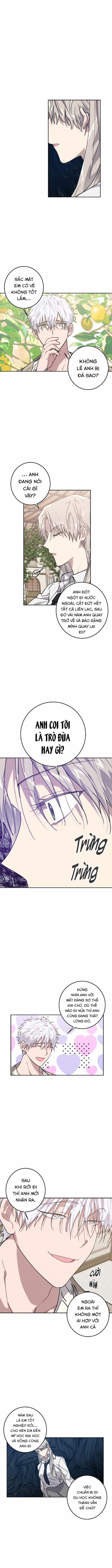 Love Is War 11 trang 0