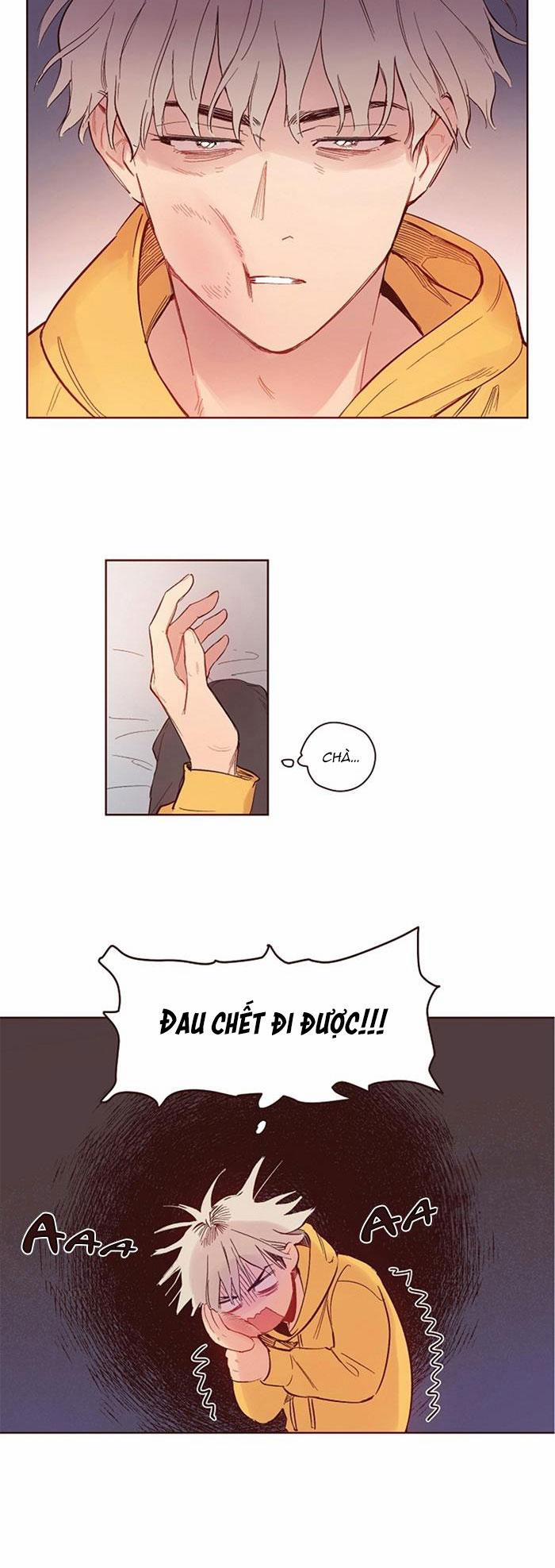 Love Me Dramatically 5 trang 2