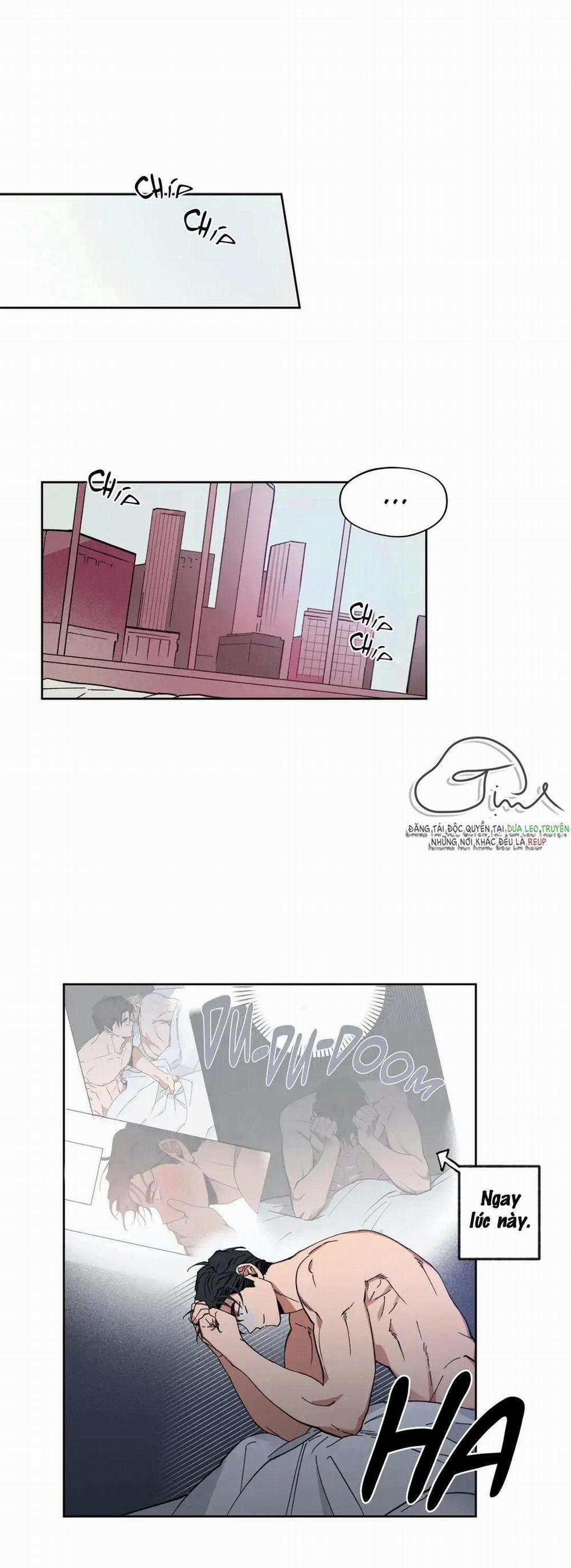 Love Plan 4 trang 0