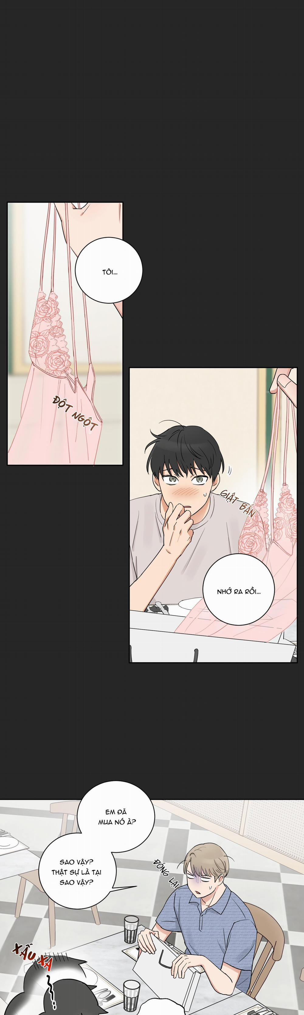 LỰA CHỌN KẾT HÔN 3 trang 0