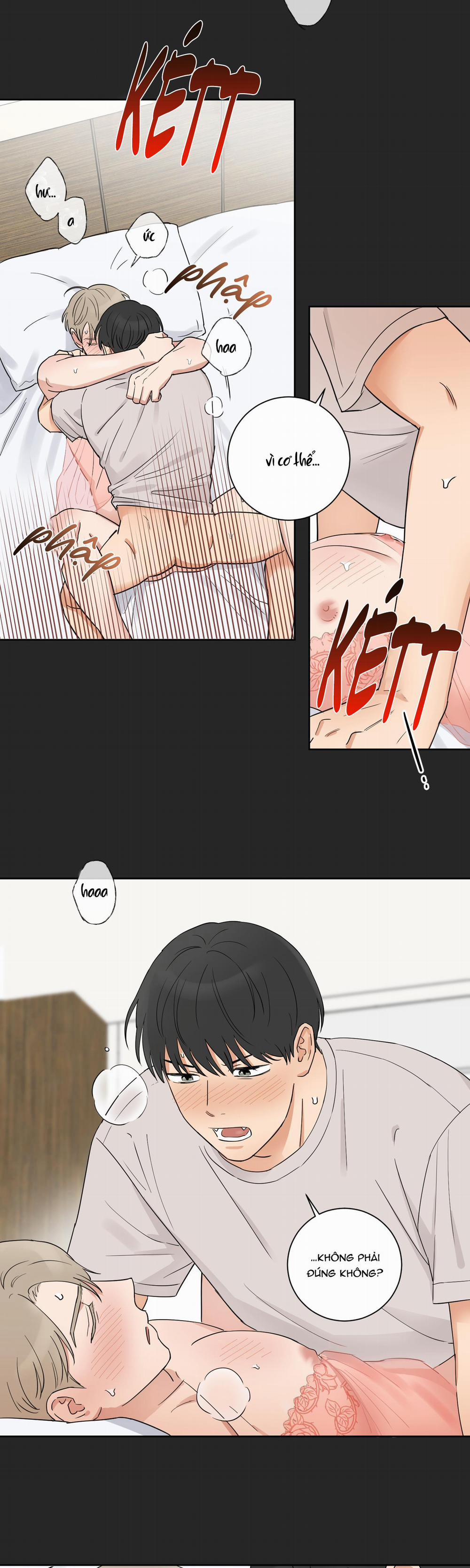 LỰA CHỌN KẾT HÔN 3 trang 14