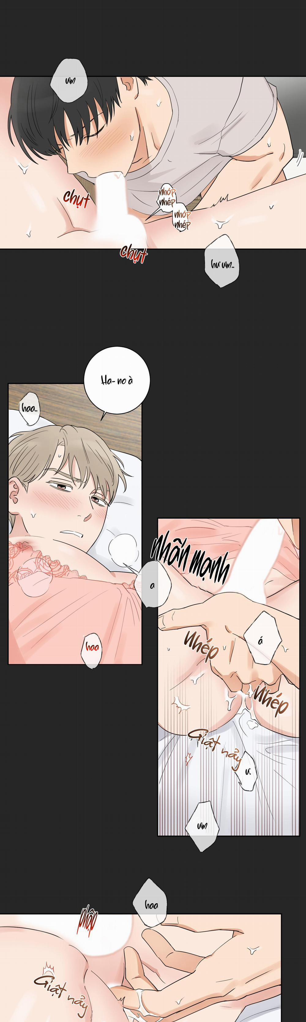 LỰA CHỌN KẾT HÔN 3 trang 9