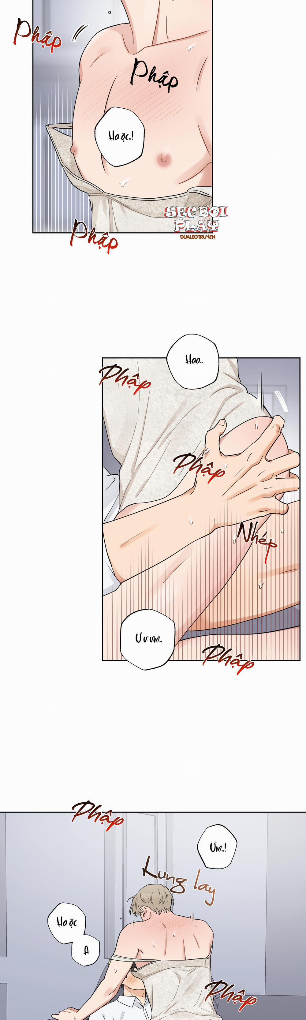 LỰA CHỌN KẾT HÔN 6 trang 16