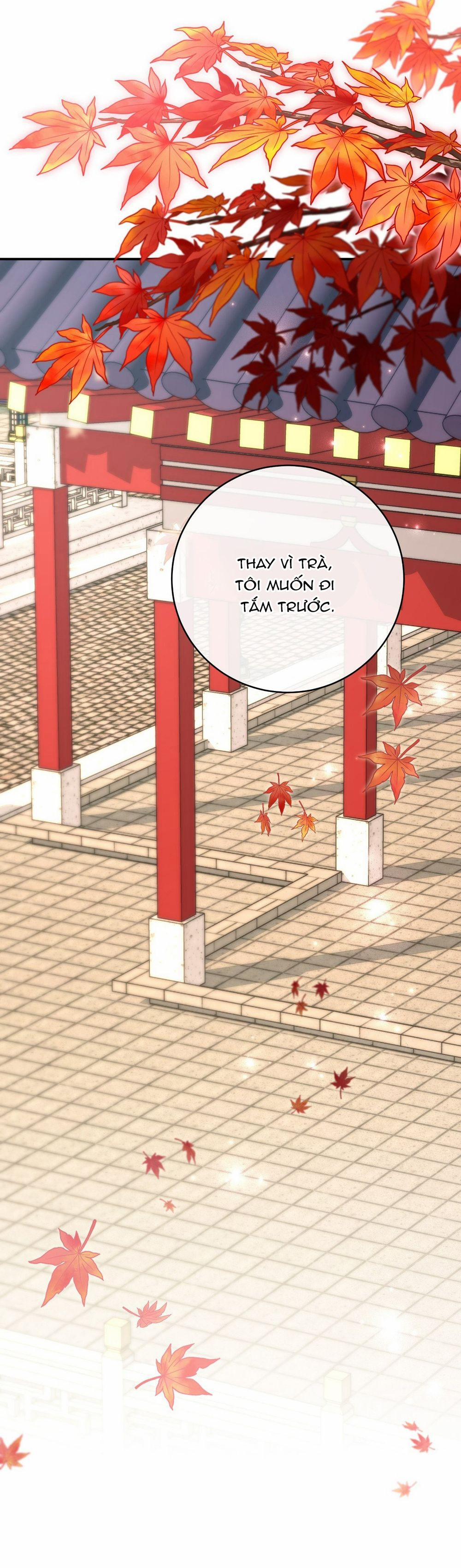 Lửa, Hoa, Mộng 11 trang 19