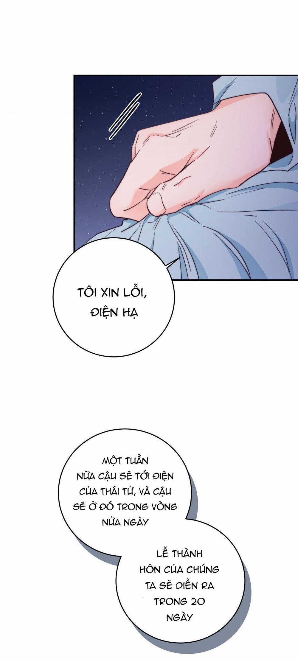 Lửa, Hoa, Mộng 12 trang 46