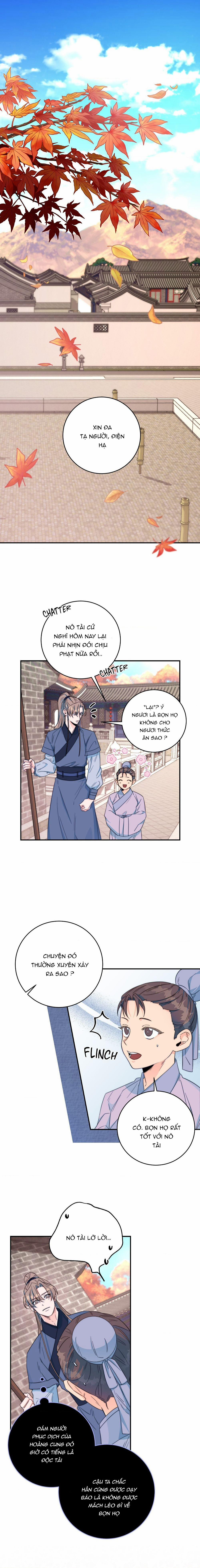 Lửa, Hoa, Mộng 16 trang 0