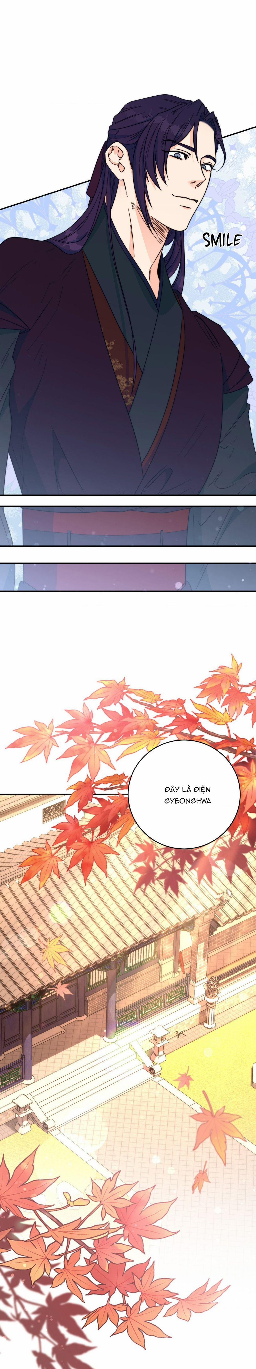 Lửa, Hoa, Mộng 16 trang 14