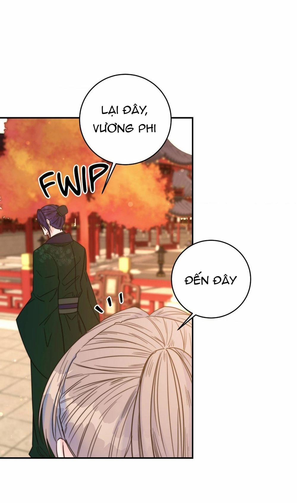 Lửa, Hoa, Mộng 20 trang 5