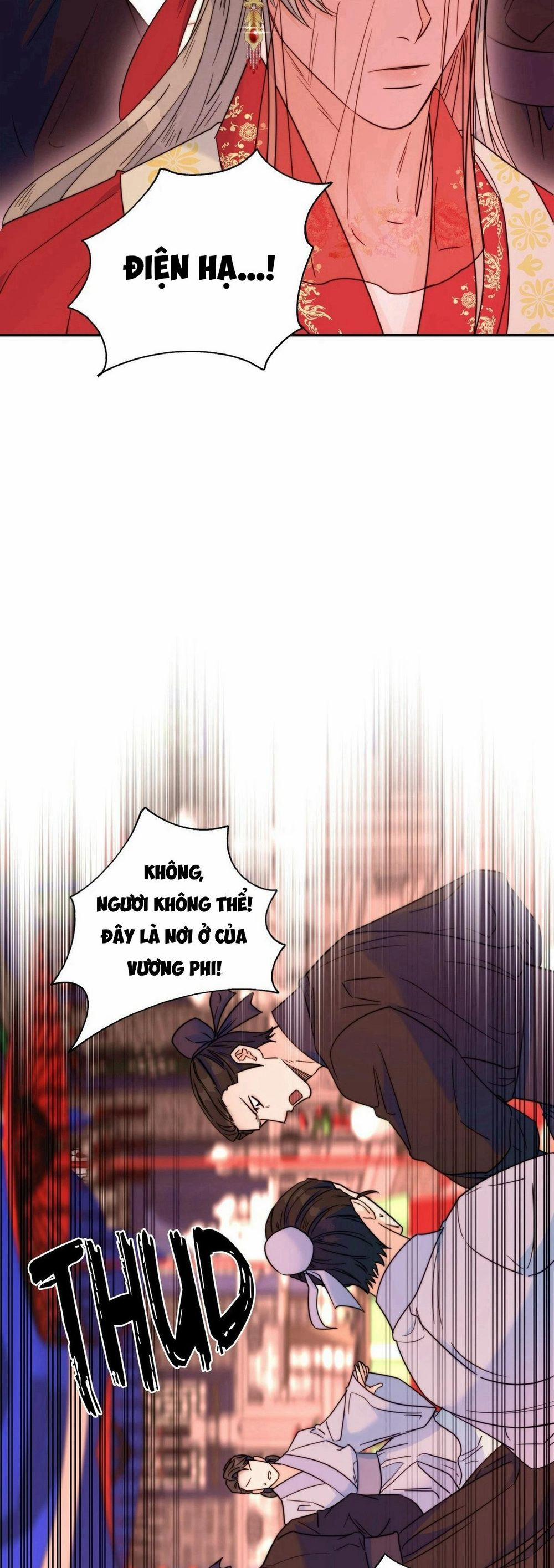 Lửa, Hoa, Mộng 22 trang 40