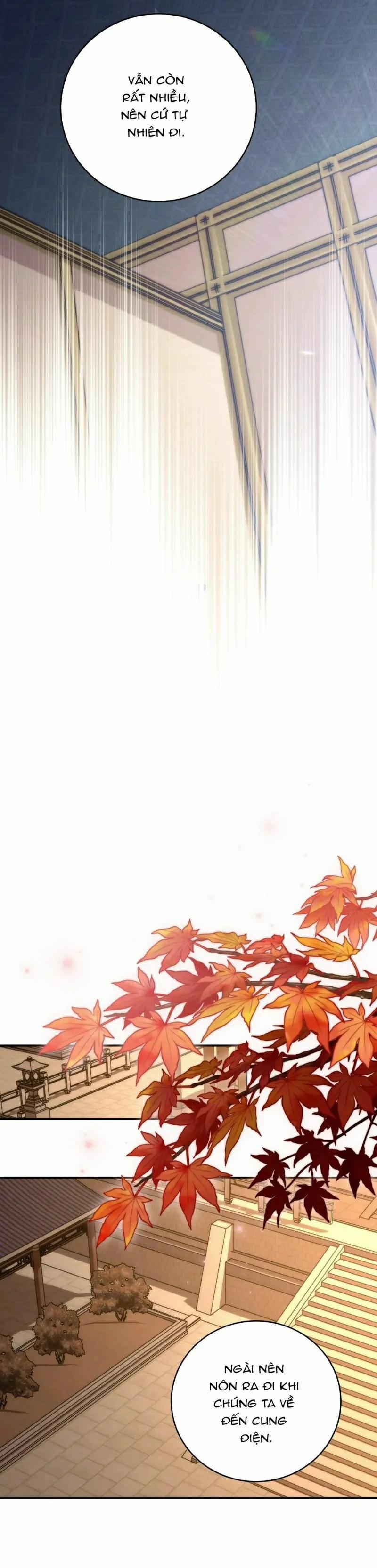 Lửa, Hoa, Mộng 28 trang 23