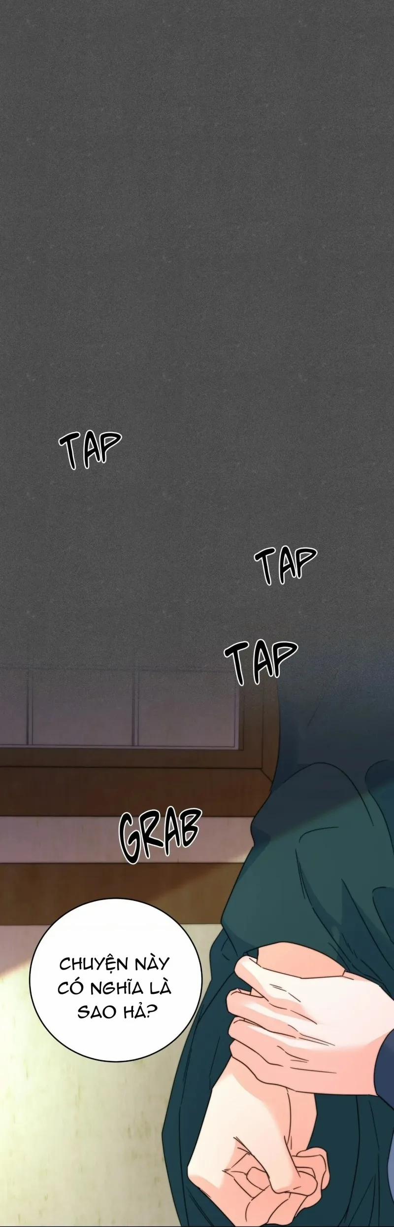 Lửa, Hoa, Mộng 29 trang 0