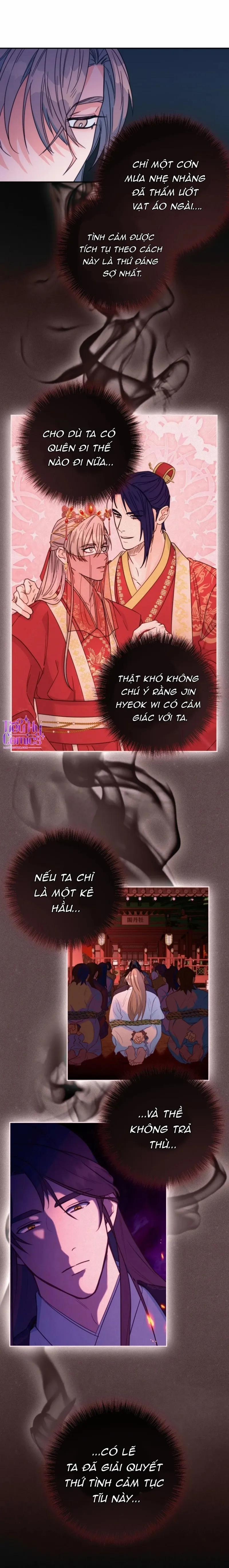 Lửa, Hoa, Mộng 29 trang 38