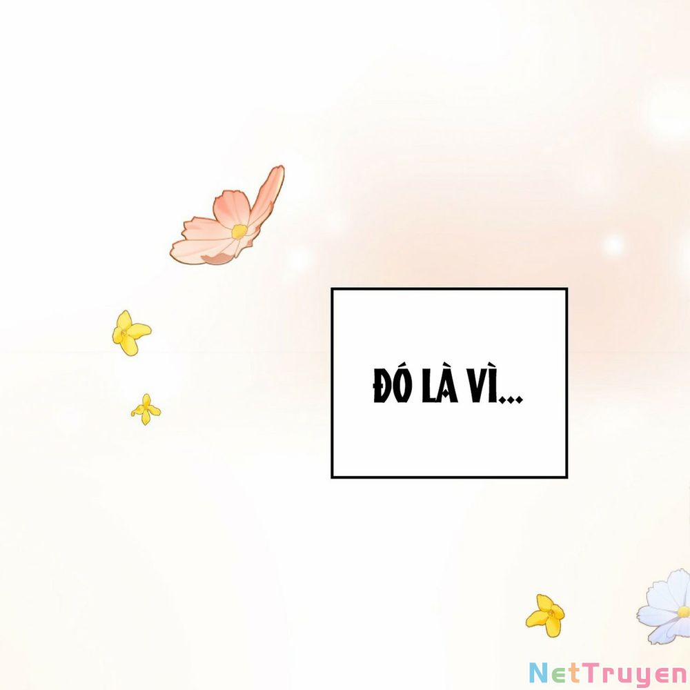 Lừa Người Hợp Với Em 19 trang 53