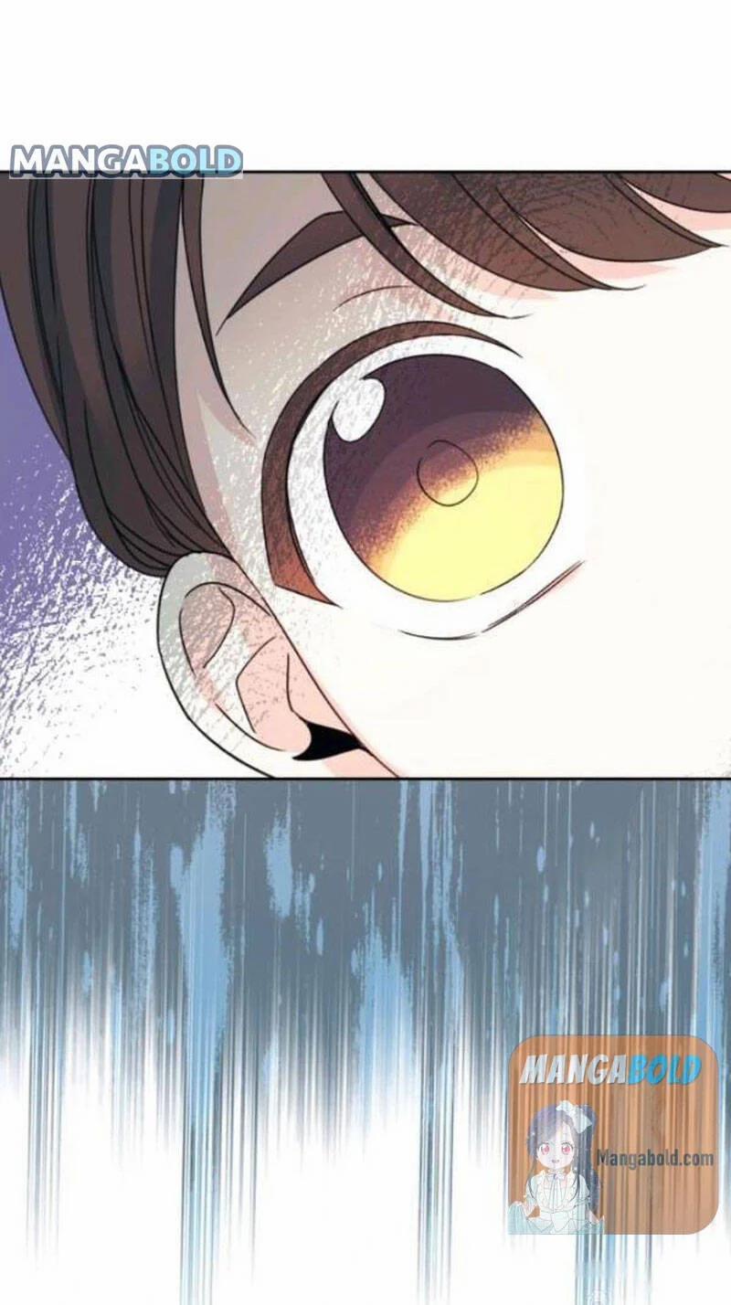 Luật Của Tiểu Thuyết Mạng 129 trang 63