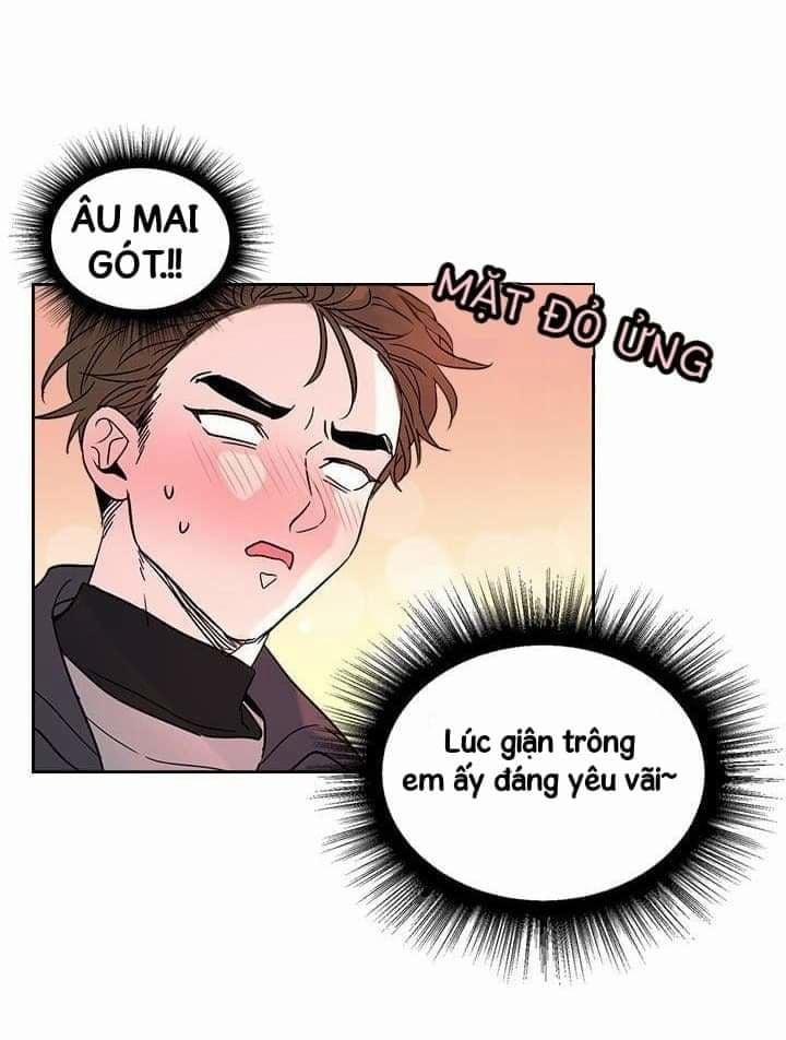 Luật Của Tiểu Thuyết Mạng 13 trang 11