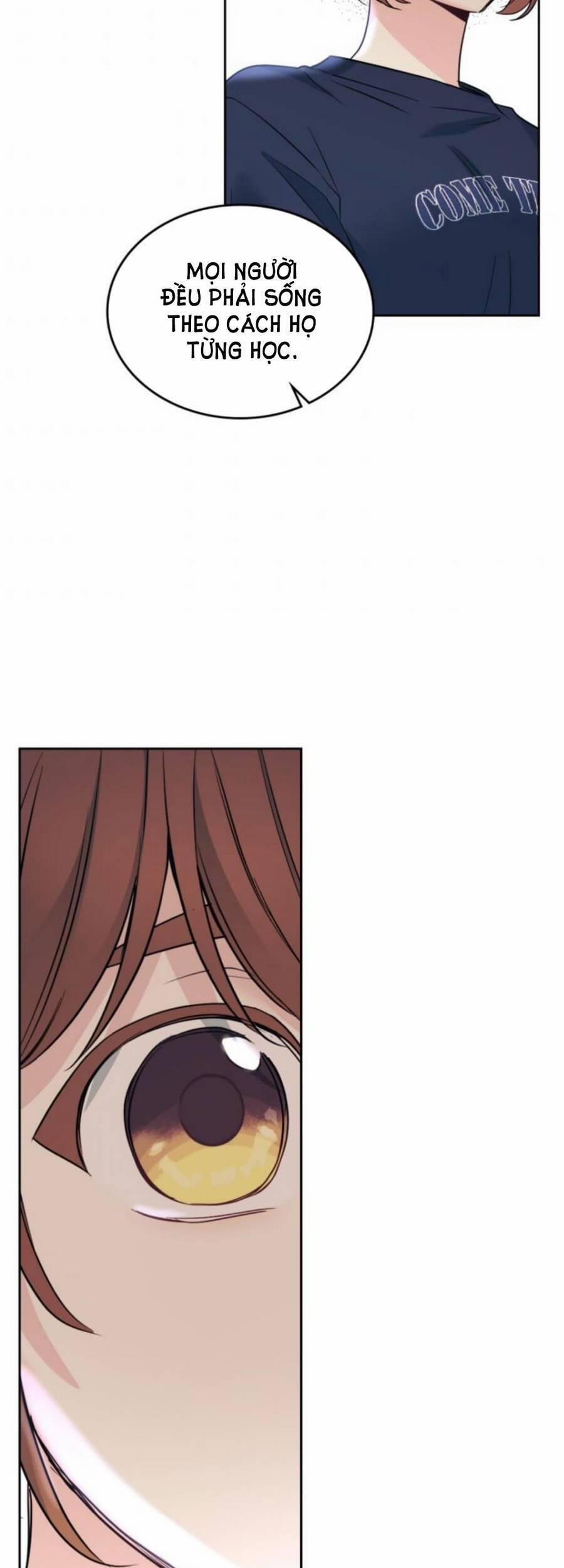 Luật Của Tiểu Thuyết Mạng 155 trang 42