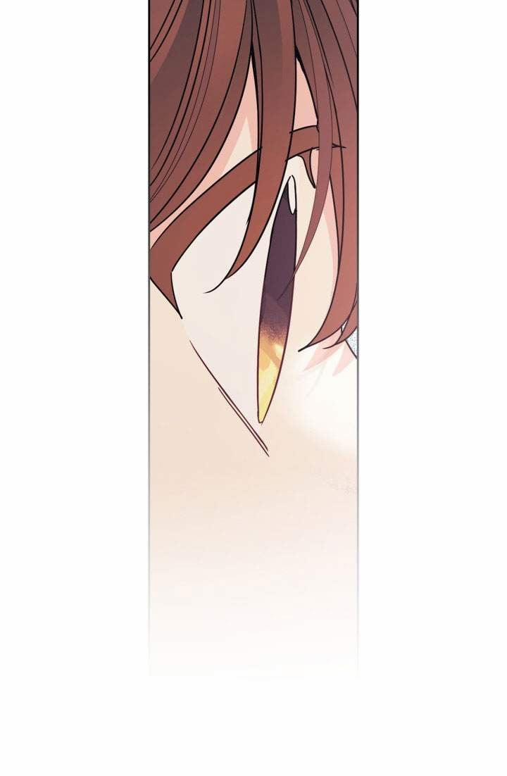 Luật Của Tiểu Thuyết Mạng 195.2 trang 14