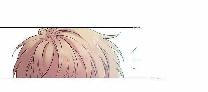 Luật Của Tiểu Thuyết Mạng 31 trang 31