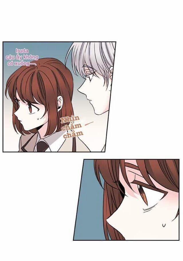 Luật Của Tiểu Thuyết Mạng 43 trang 6