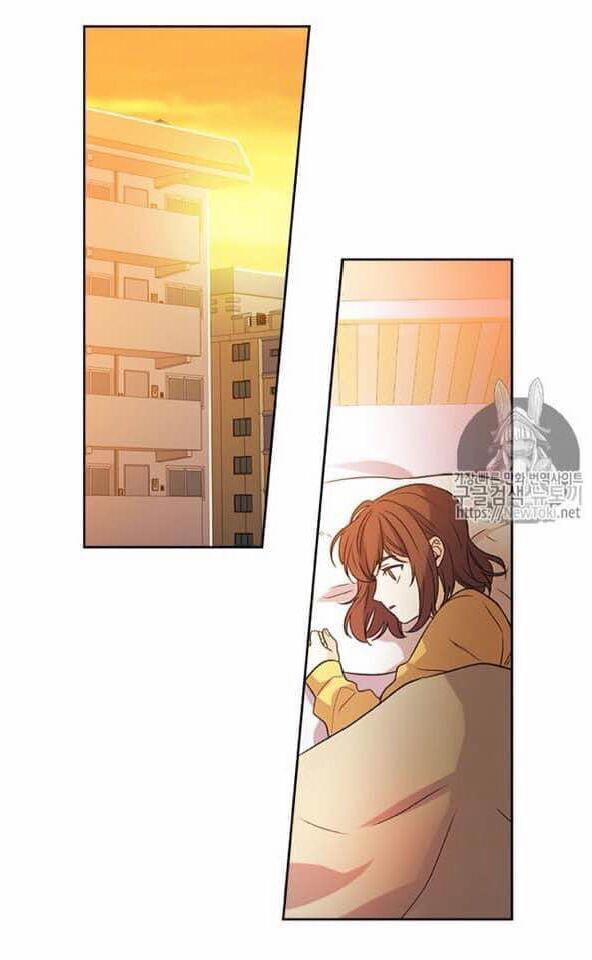 Luật Của Tiểu Thuyết Mạng 52 trang 1