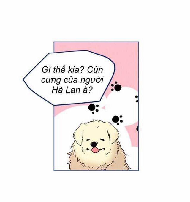 Luật Của Tiểu Thuyết Mạng 67 trang 13