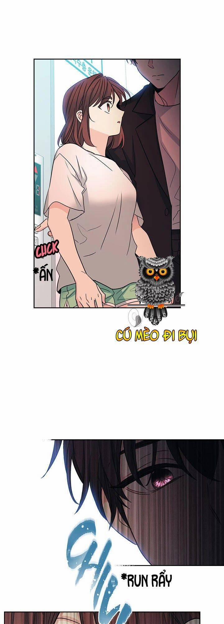 Luật Của Tiểu Thuyết Mạng 84 trang 0