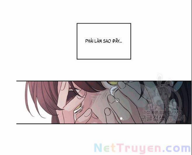 Luật Của Tiểu Thuyết Mạng 91 trang 37